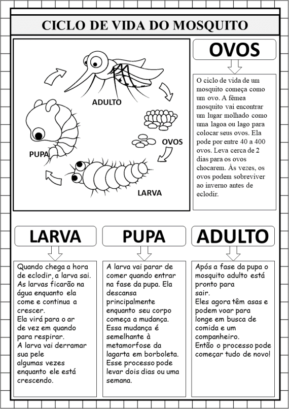 Kit da Dengue - Image 3