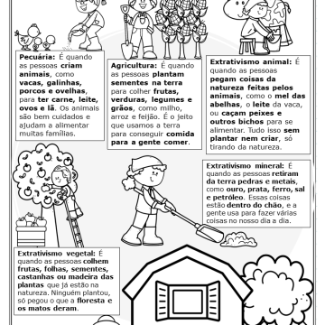 Atividades do Campo para 3º ano