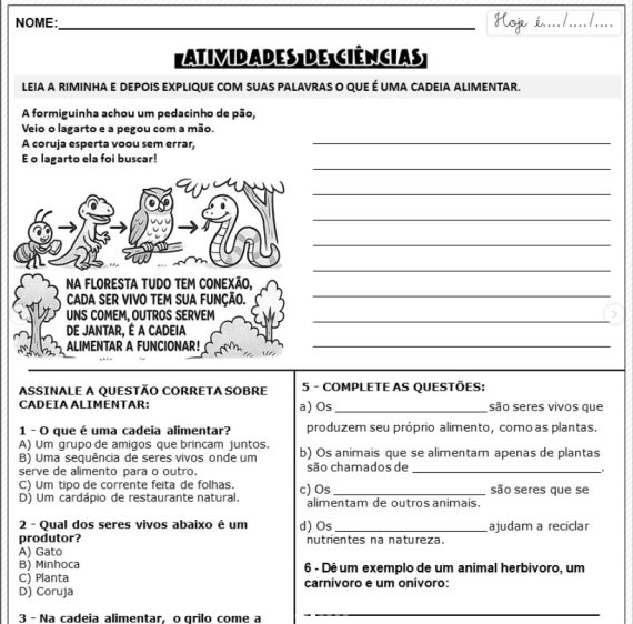 Cadeia alimentar conceito e atividades para 4º ano - Imagem 7