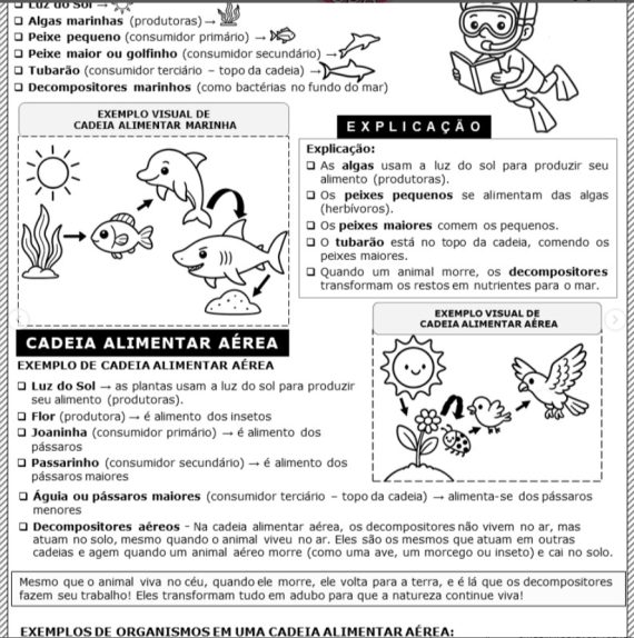 Cadeia alimentar conceito e atividades para 4º ano - Imagem 3