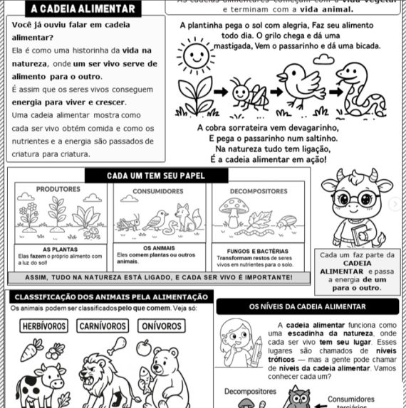 Cadeia alimentar conceito e atividades para 4º ano - Imagem 2