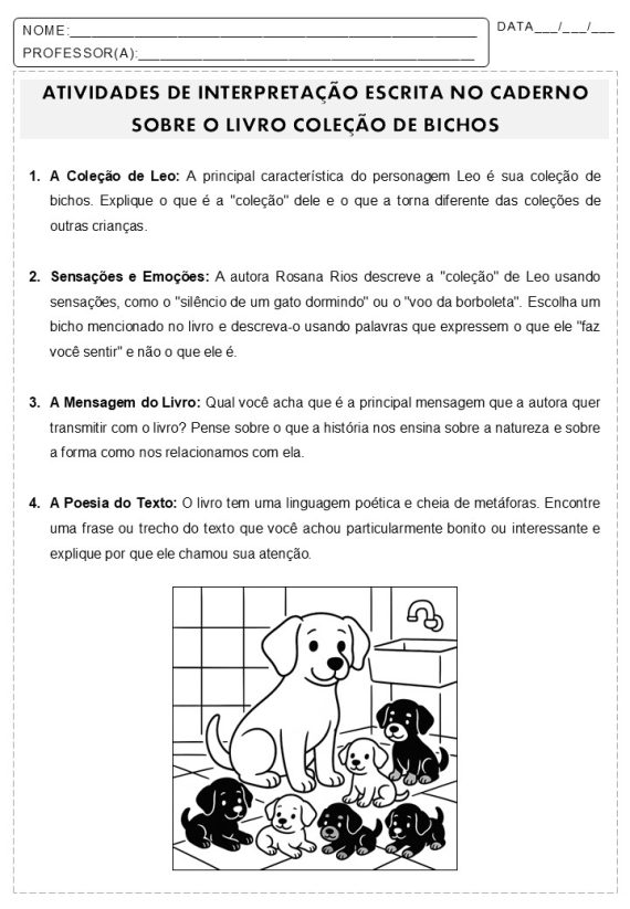 Atividades de Interpretação do Livro Coleção de Bichos da Rosana Rios