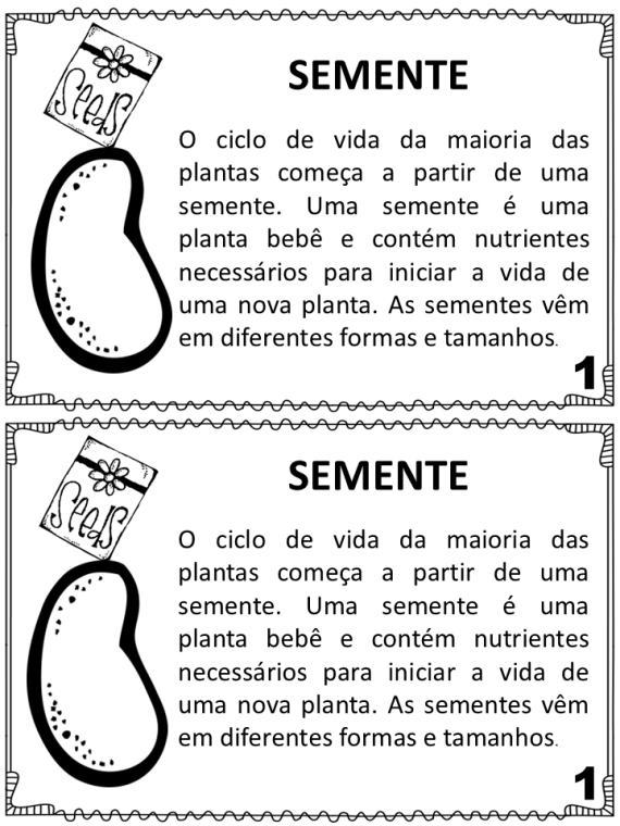 Mini livrinho Ciclo de Vida de uma planta - Imagem 2