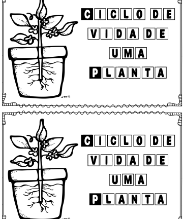 Mini livrinho Ciclo de Vida de uma planta