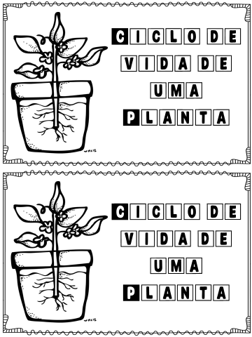 Mini livrinho Ciclo de Vida de uma planta