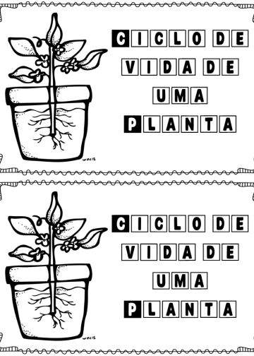 Mini livrinho Ciclo de Vida de uma planta