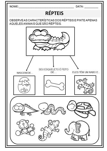 ATIVIDADE DE CIÊNCIAS – ANIMAIS 1º e 2º