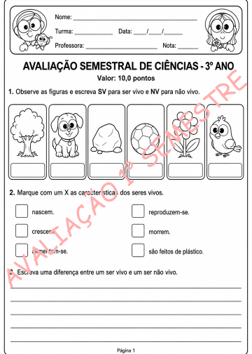 Avaliação Semestral 3° ano – Ciências
