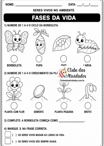 SERES VIVOS NO AMBIENTE - 2º ANO