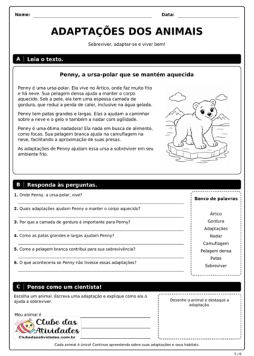 Atividade de ciências – Adaptações dos Animais 3º e 4º ano